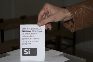 DSC_6794 (1)