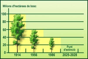 grafic desforestació progressiva