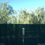 2013-01-04-0635, pluviòmetre Hellmann