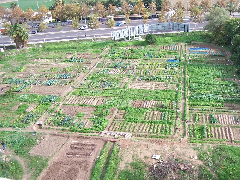 Horts urbans a Benimaclet gestionats pel CSOA L'Horta.