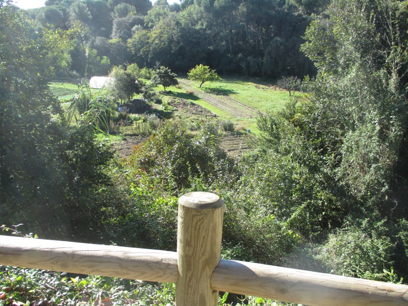 Els horts de Sant Jeroni: conreu sereny...